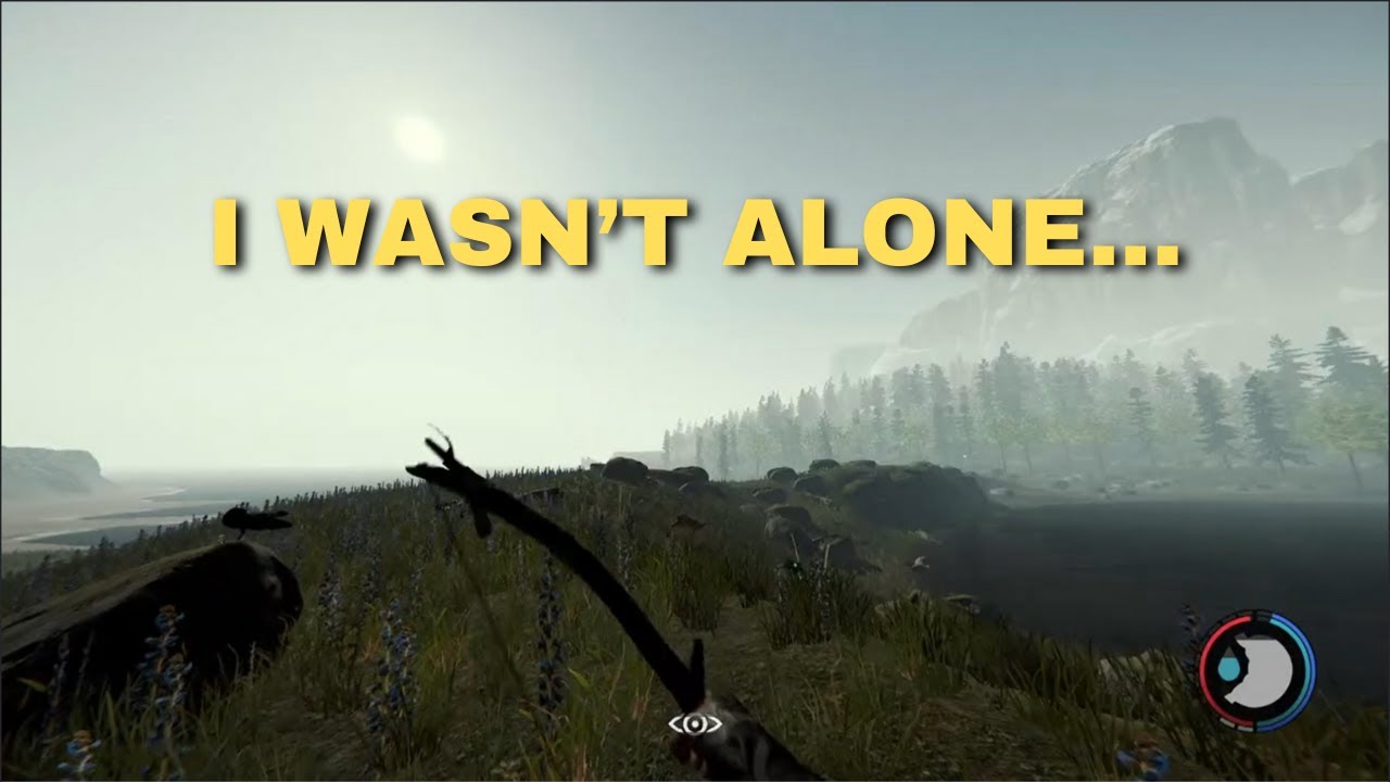 I went for a walk in The Forest