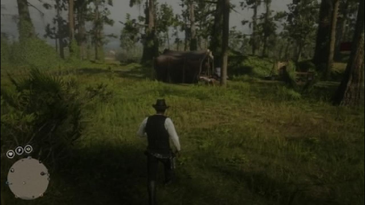 Red Dead Redemption 2 gun tricks ( press L1 2x and R1 to do multiple )