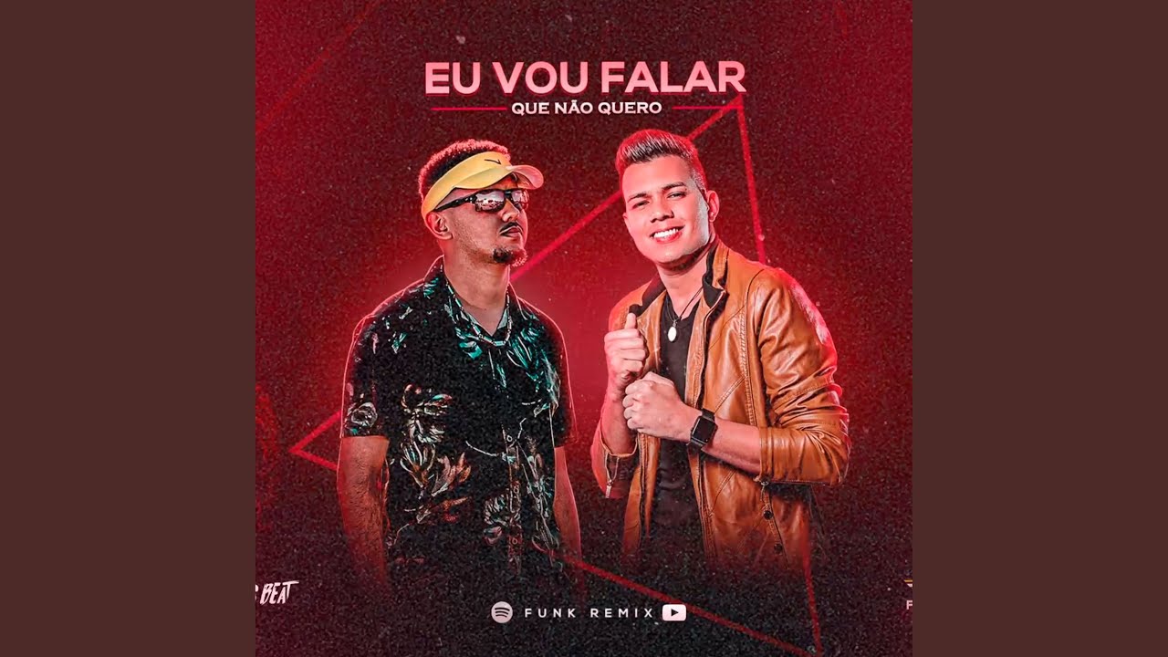 Vou Falar Que Não Quero (Remix)