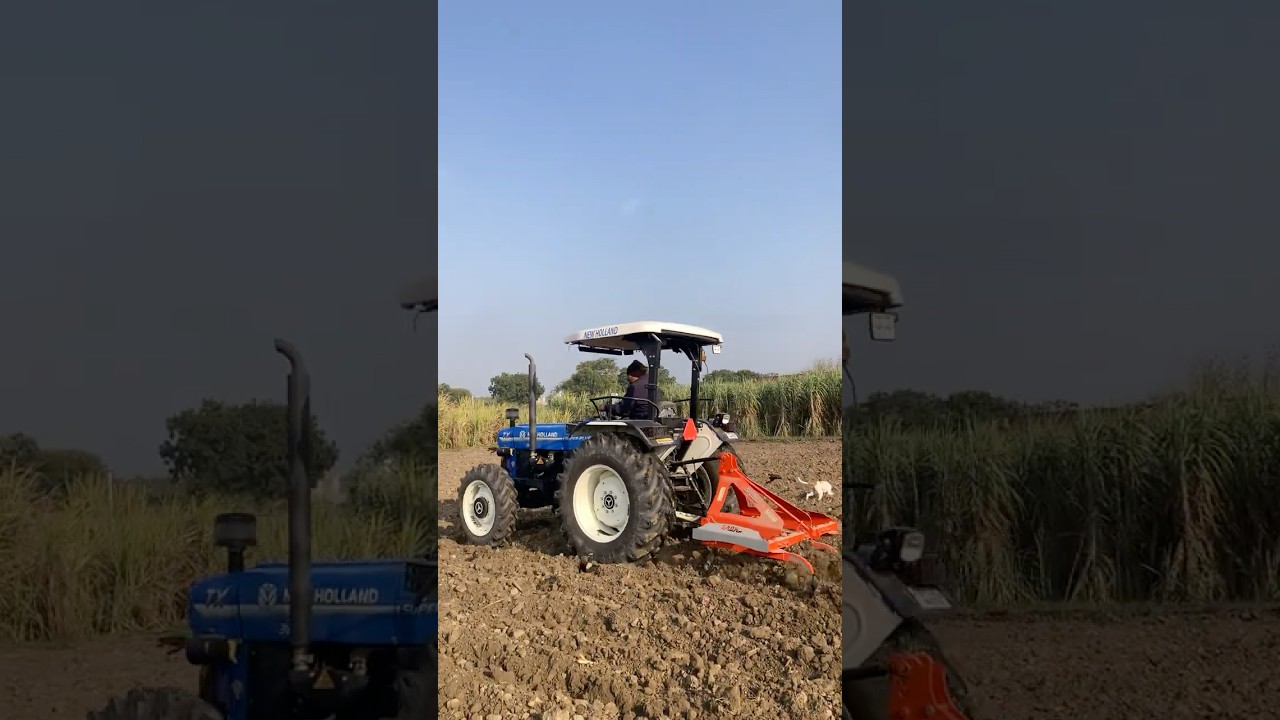 तोता हल 12 inch पूरी गहराई में 😳…. 