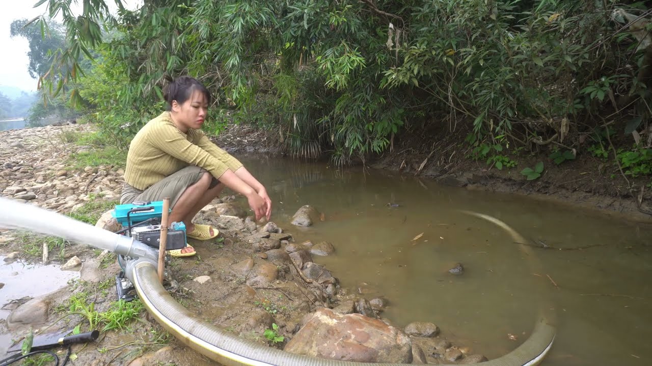 Found a school of fish in a abandoned lake for many years / Unique Fishing with a water pump