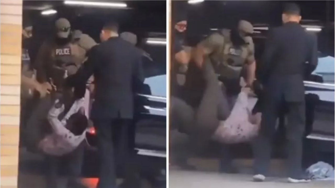 ICE agents pull screaming illegal immigrant influencer from car after resisting arrest