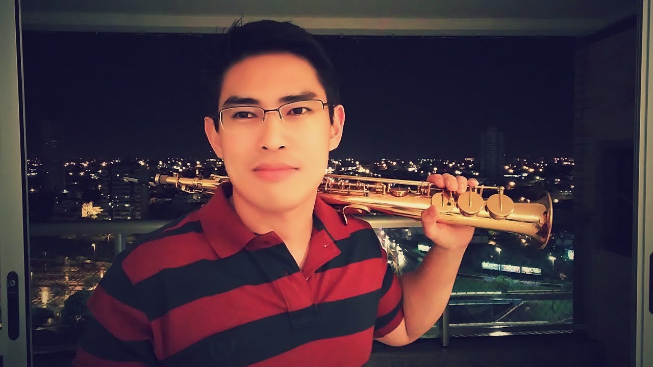 Alok, Bruno Martini, Zeeba - Never Let Me Go (Andr&eacute; Arakaki Saxophone Cover)