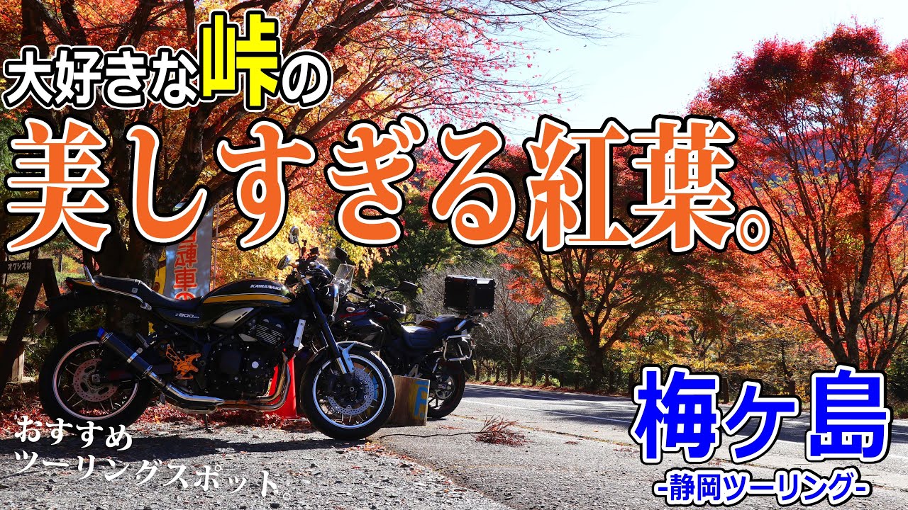 【静岡ツーリング】秋こそ攻めるべし！私が大好きな峠の紅葉が美しすぎる絶景だった件。【モトブログ/Z900RS】【梅ヶ島】