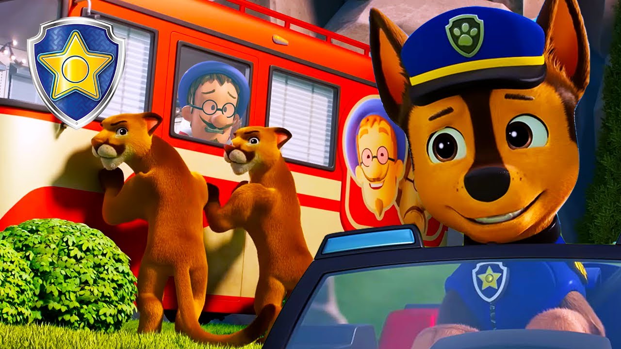 Lions Attack Before Francois's Big Show! Chase to the Rescue! | Chase Official Channel | PAW Patrol