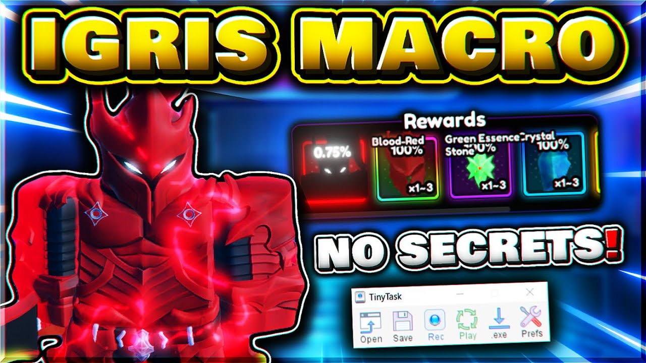 HOW TO AFK MACRO IGRIS DOUBLE DUNGEON EASILY IN ANIME VANGUARDS!