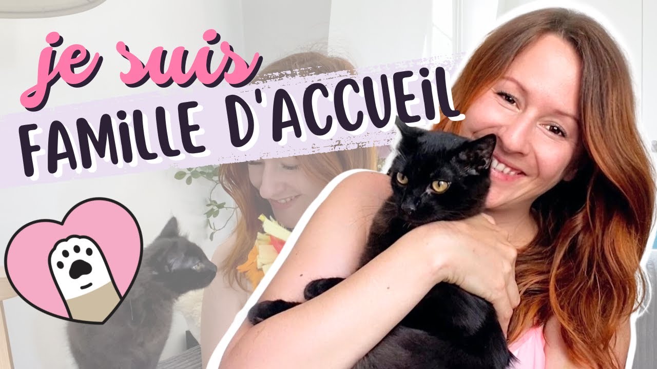 c'est quoi famille d'accueil pour chat ?
