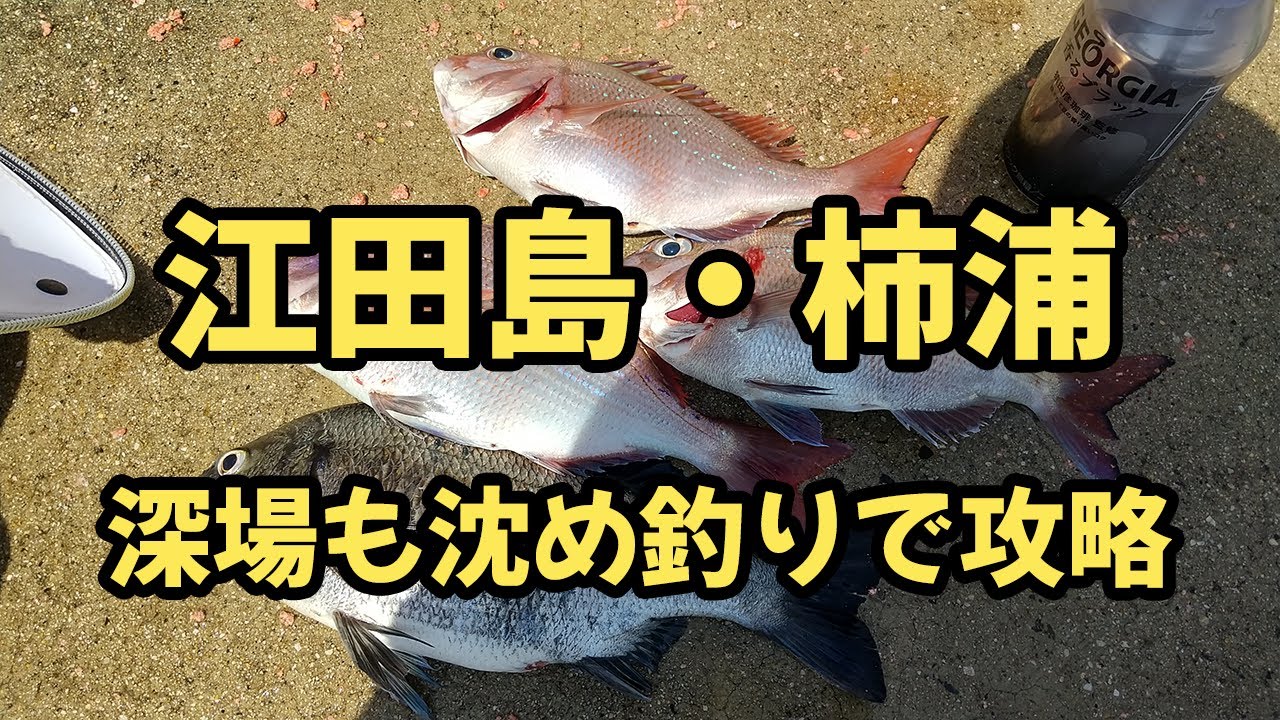 江田島・柿浦｜深場も沈め釣りで攻略！