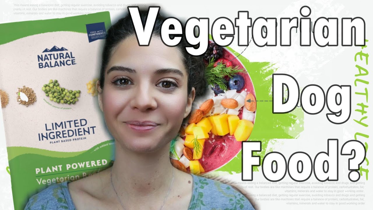 Search for the best vegetarian dog food:  Natural Balance Limited Ingredient review