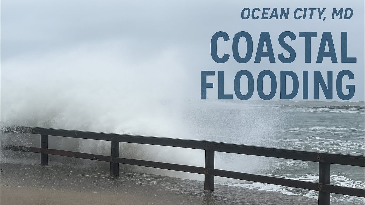 Coastal Flooding - Ocean City, MD - October 2025