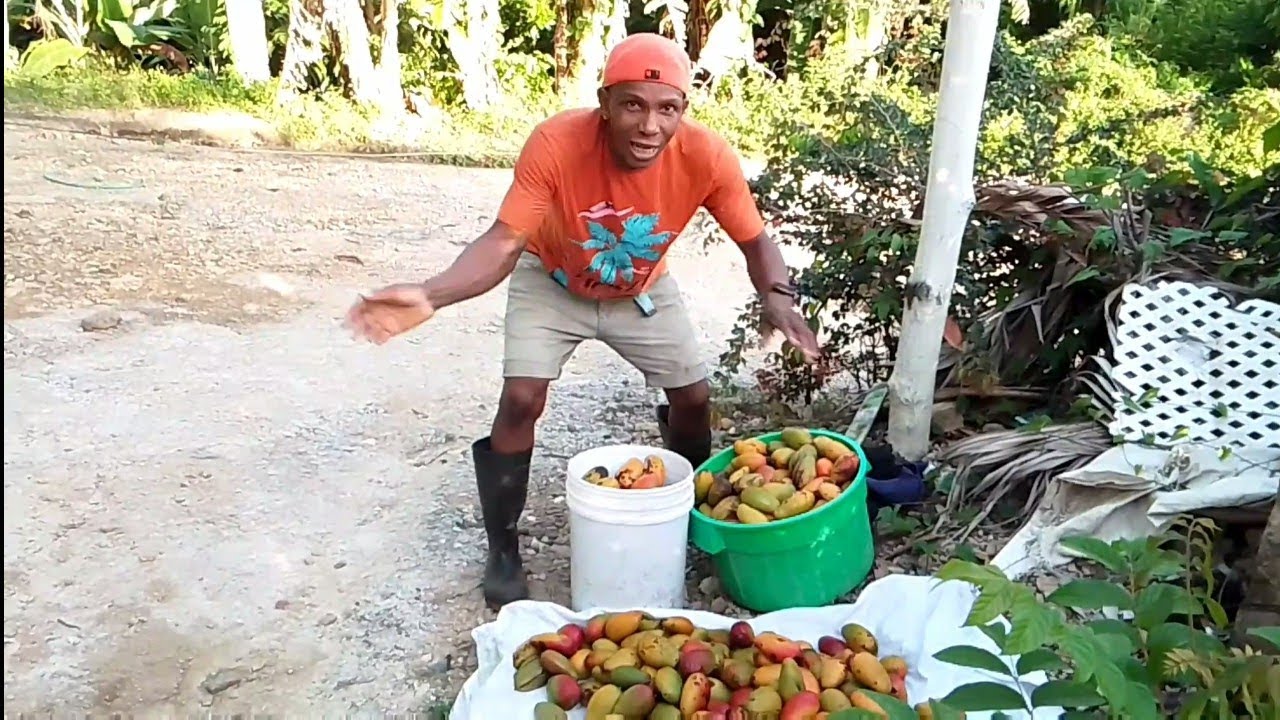 People farmer man need buyers for the things them