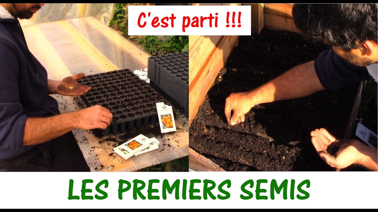 LES PREMIERS SEMIS DE LA SAISON / Poivrons, aubergines, poireaux, oignons,...