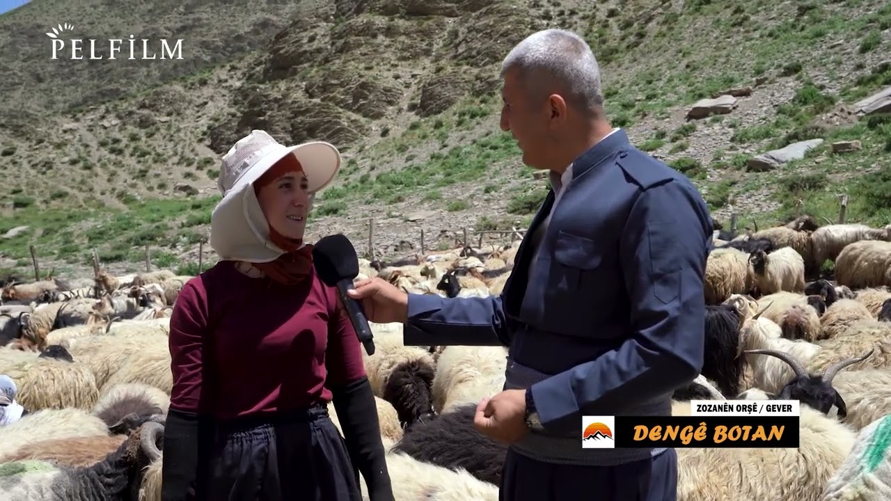 DENGÊ BOTAN - ZOZANÊN ORŞÊ / GEVER