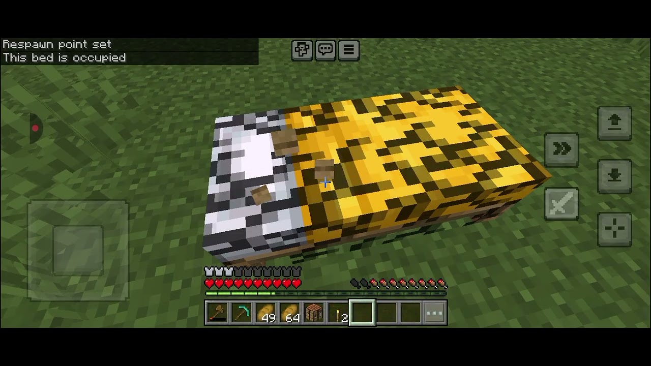 My first video Minecraft subscribe kar do please