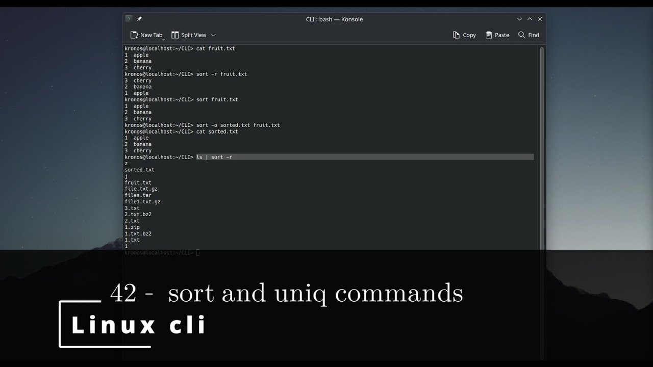 Linux CLI 42 🐧 sort and uniq commands