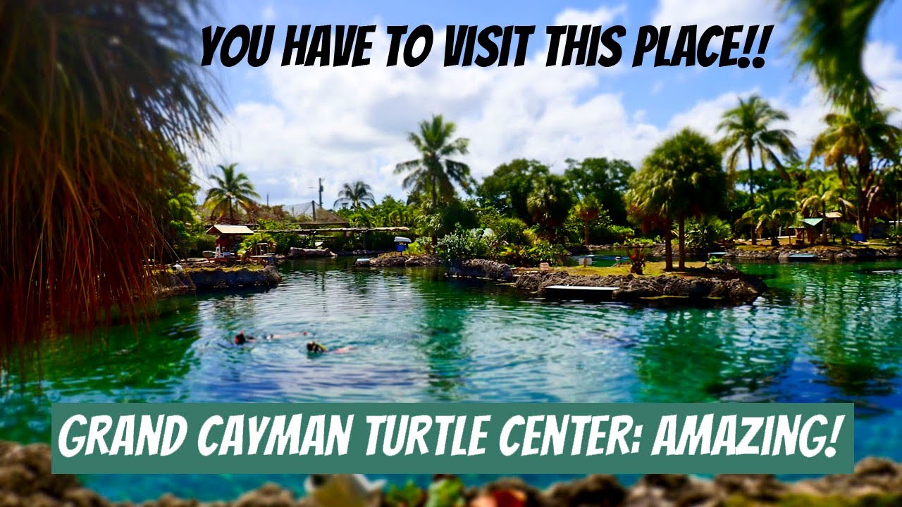 Cayman Turtle Centre: Grand Cayman