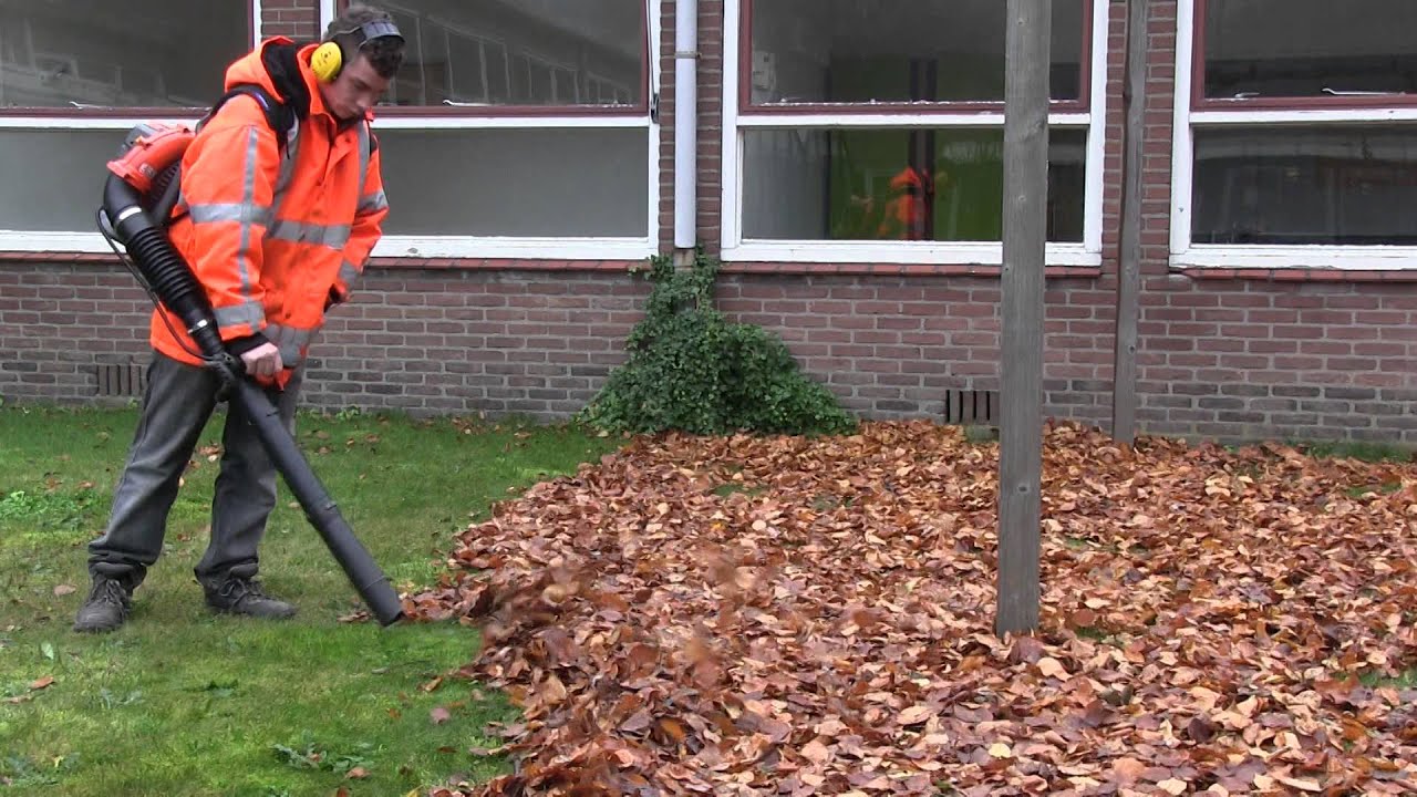 Blad blazen