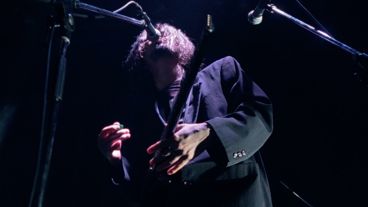South Penguin - business (live)