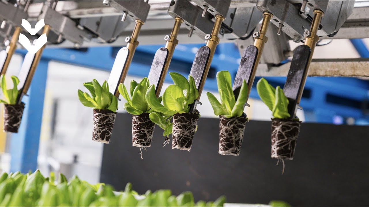 TTA-ISO - indoor farming innovators