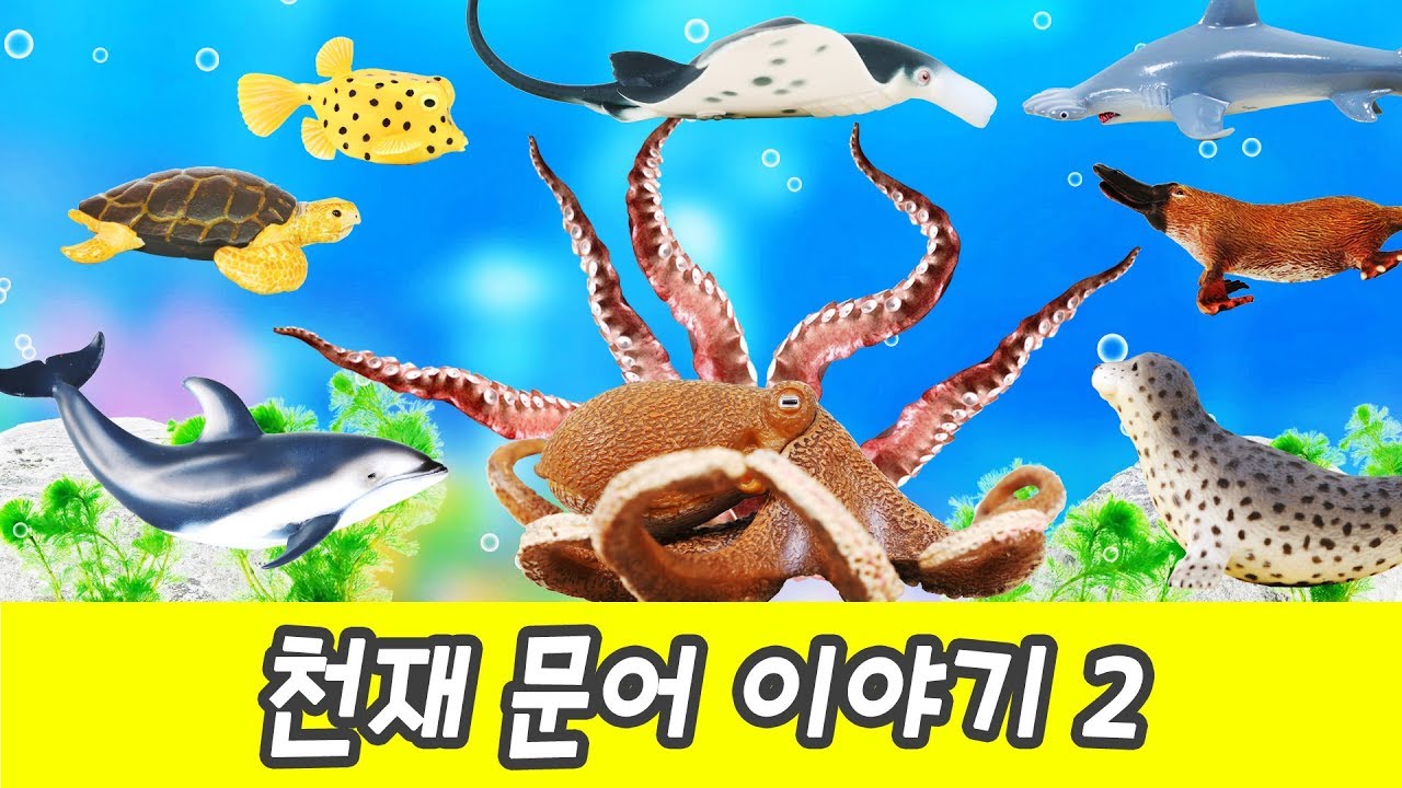 한국어ㅣ천재 문어 이야기2!! 어린이 동물 만화, 해양동물 이름 외우기, 컬렉타 #184ㅣ꼬꼬스토이