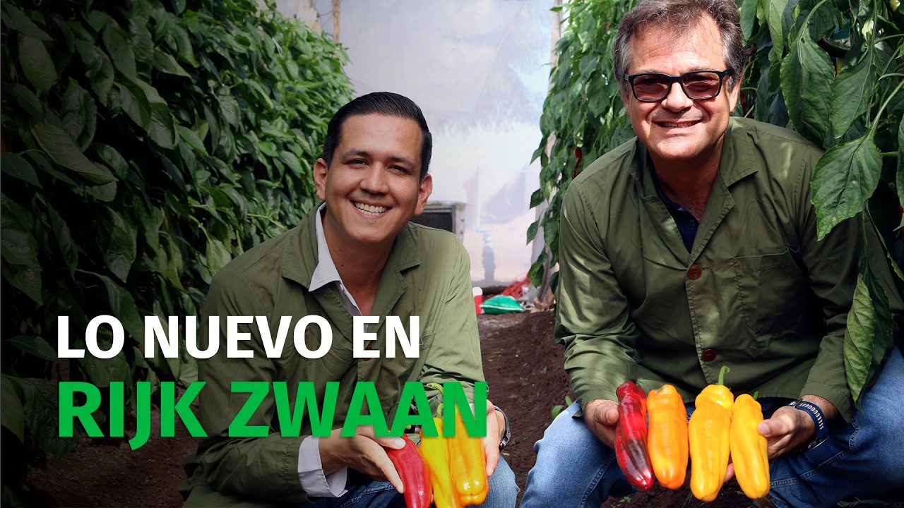 Aquí se muestra lo que puedes sembrar mañana | Rijk Zwaan México