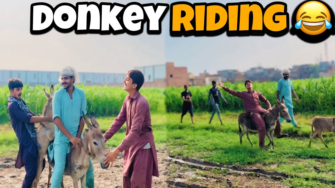 Pehli Dafa Donkey Riding 😅 | Village Environment 🤩 | 