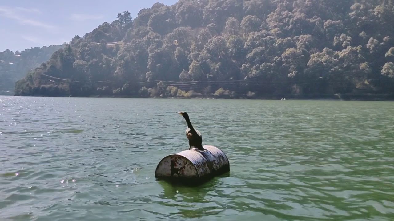 Boat ride in Naini Lake at Nainital in just 160 rupees for 1 hour Picturesque landscape @subarna das