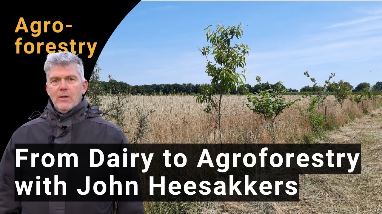 From Dairy Farming to Agroforestry | Demo at the Heesakkers Family Farm