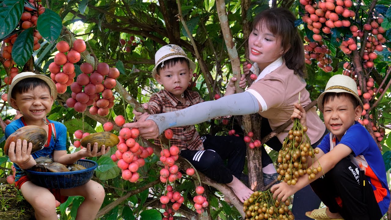 95 days Natural fruit harvest - help and care for the orphan boy | go to the market to sell