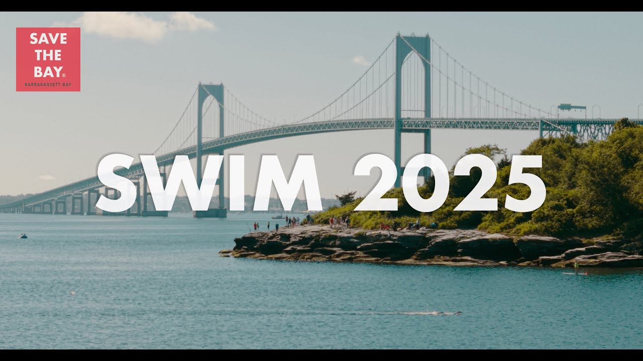 The Save The Bay Swim - 2025