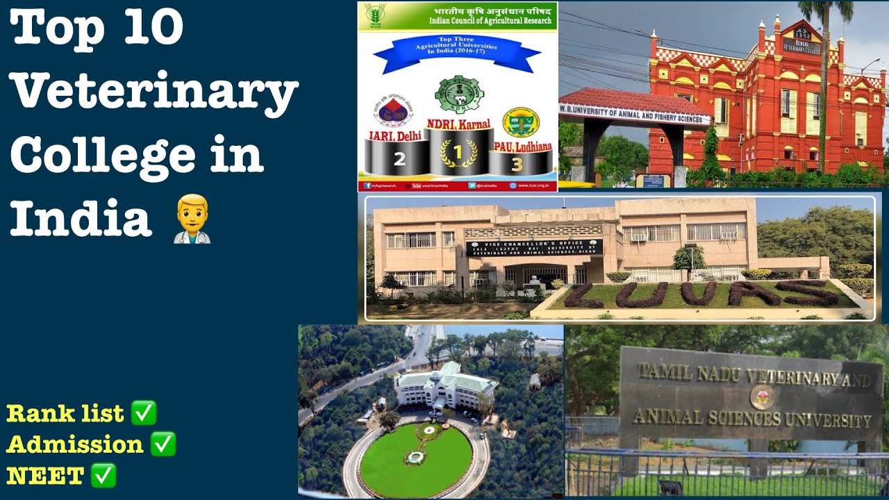 Top 10 Veterinary College In India 2021 || Rank Wise Veterinary College.