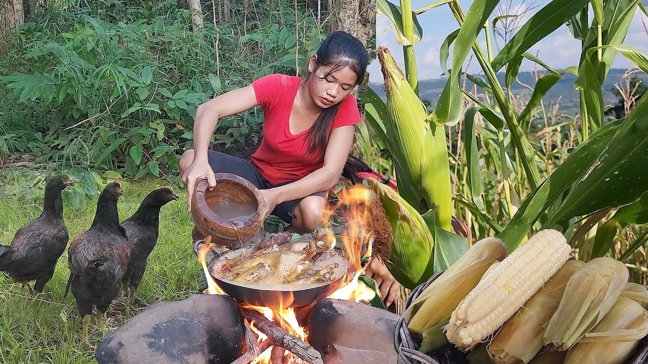 Catch chicken for food in forest, Chicken hot spicy for food of survival, Yummy corn boiled for food