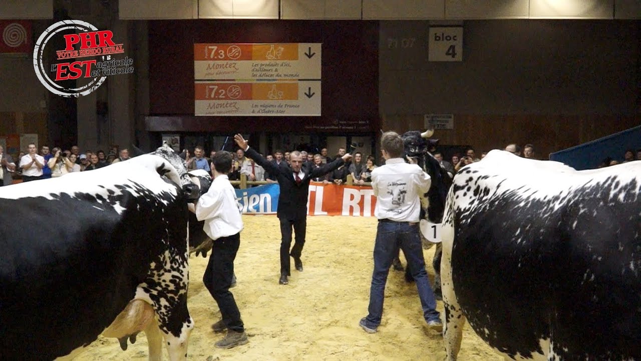 Concours de la race Vosgienne au SIA 2014