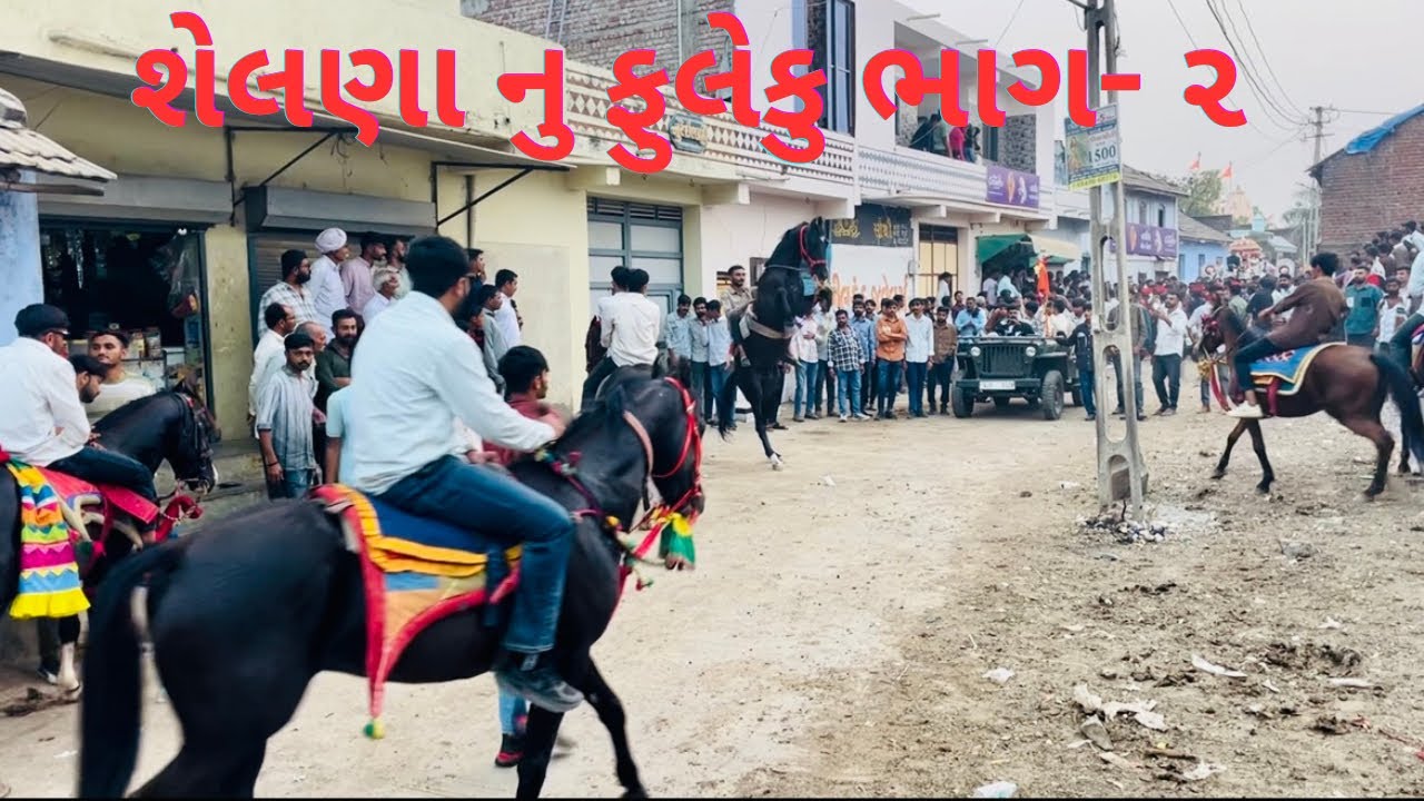 શેલણા નું ફુલેકું જોવો વિડિયો ભાગ-૨ ?😱🎠