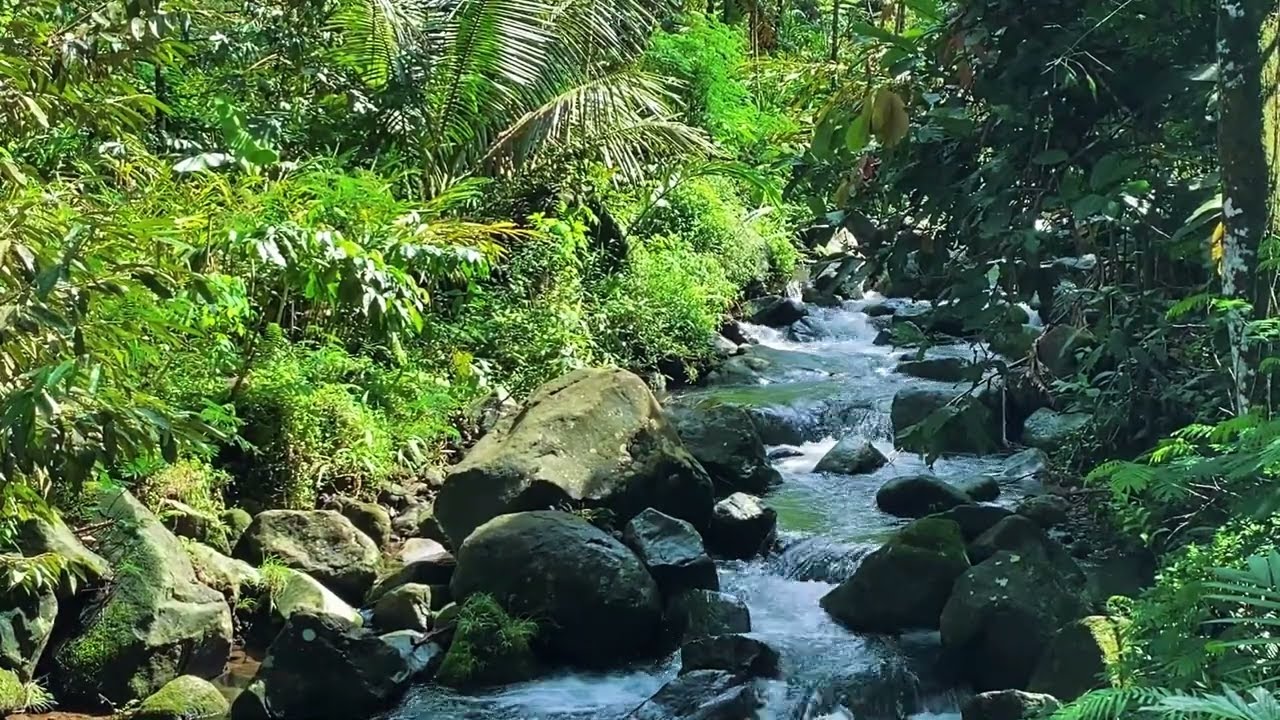 End the Day with Nature’s Medicine — Peaceful River Sounds for Sleep