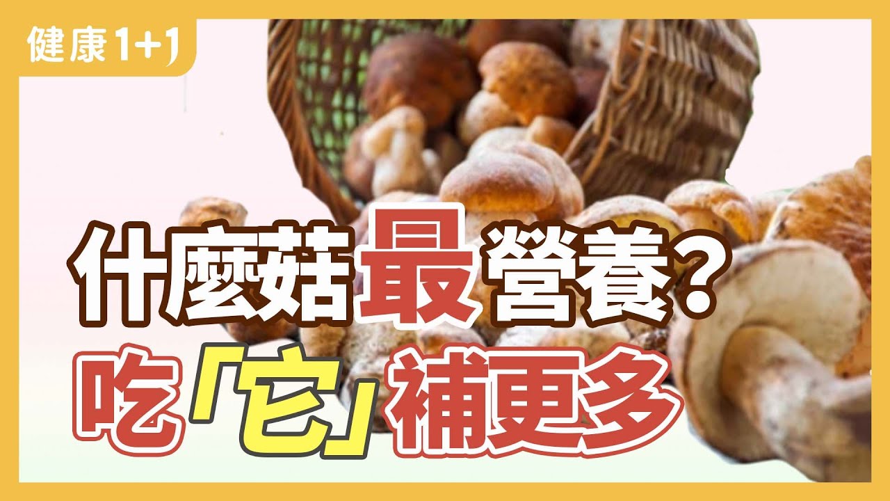 什麼菇最營養？ 吃「它」補更多 | 健康1+1 · 直播精選