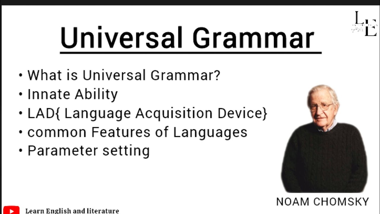 Universal Grammar By NOAM CHOMSKY | Theory Of Universal Grammar