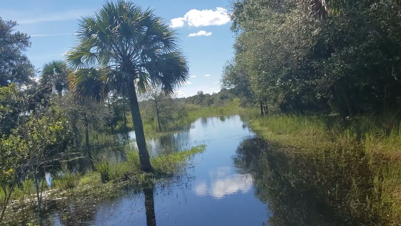 Airboat Ride Through Flying Eagle