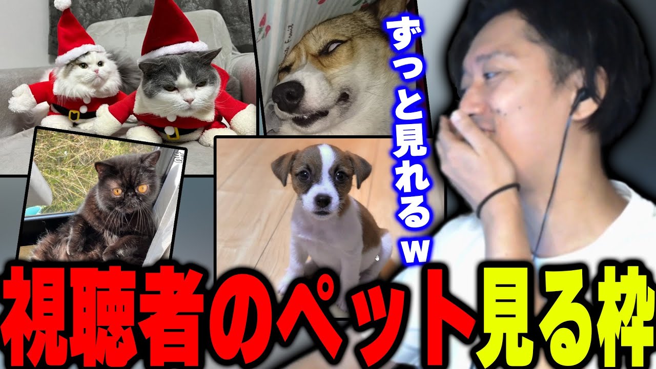 視聴者のペットを見る布団ちゃんまとめ【2022/12/7】