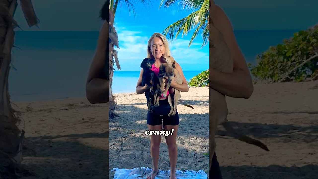 I Found an Abandoned Puppy on the Beach!