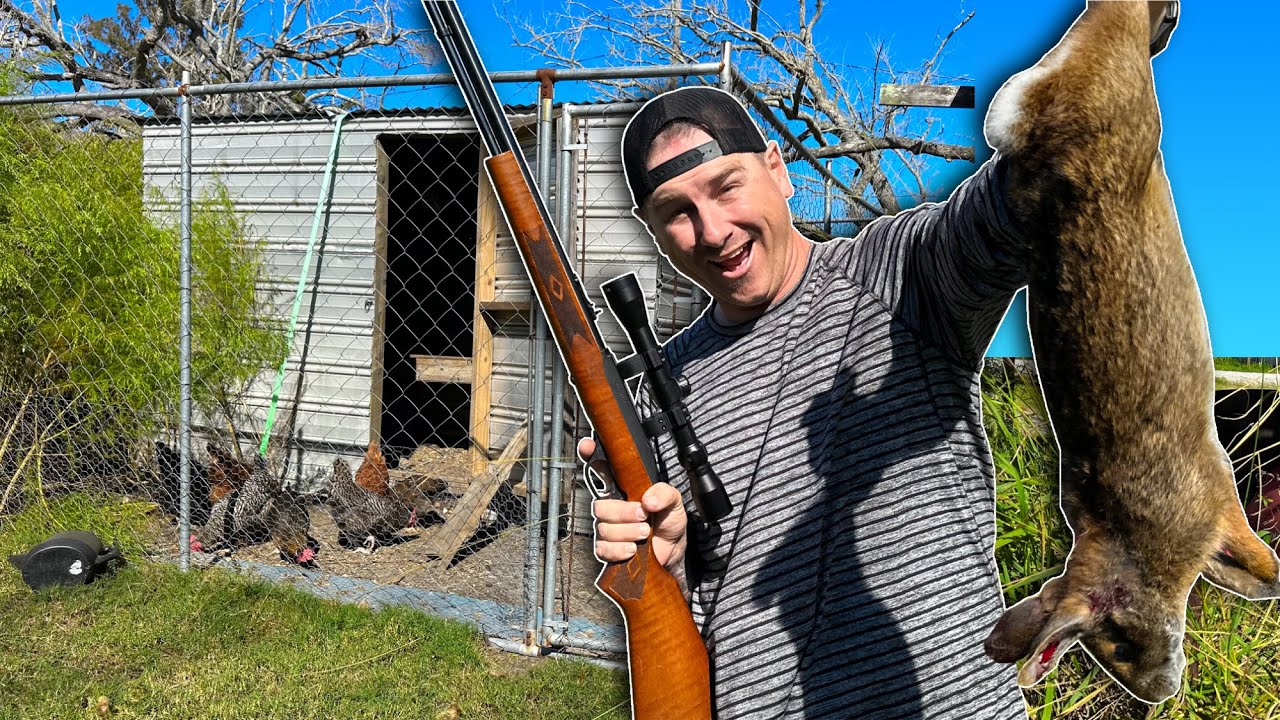 Using My CHICKEN COOP as a Hunting BLIND!