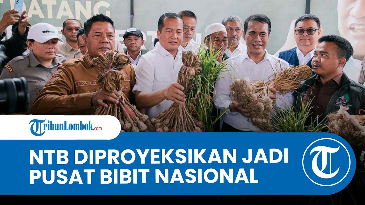 Mentan Amran Tanam Perdana Bawang Putih di Sembalun, NTB Diproyeksikan Jadi Pusat Bibit Nasional