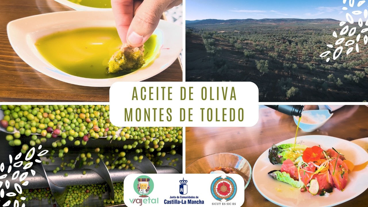 Aceite de Oliva Montes de Toledo