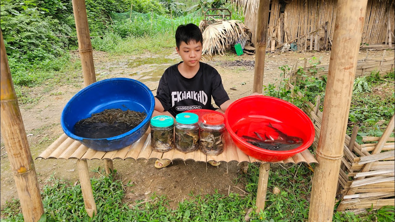 Orphaned Boy Drops Cage to Catch Shrimp, Fish, Crabs, Child's Life, Make a living on his own