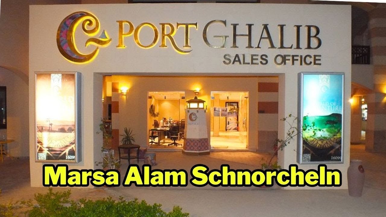 Pickalbatros Palace Port Ghalib  | Schnorcheln im Roten Meer | Marsa Alam Ägypten 2025