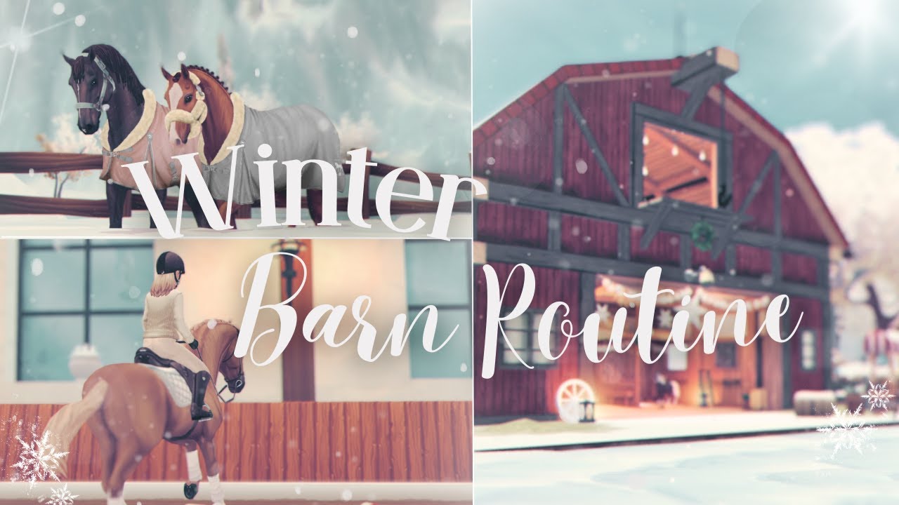 Winter Barn Routine! || 2024 new year plans + updates || SSO RRP ||