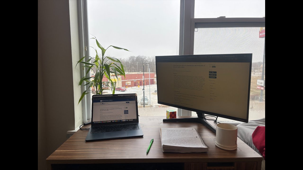 Quiet Afternoon Study With Me | Rain Sounds (60 Minutes)