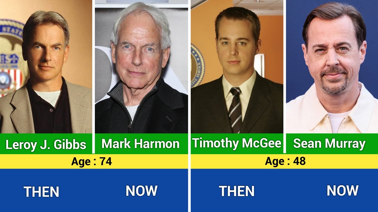 NCIS Cast: Then and Now | How the Actors Have Changed