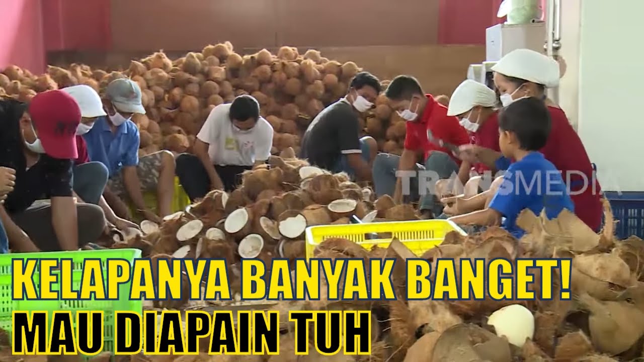 Berkunjung ke Pabrik Minyak VCO (Minyak Kelapa) | SI UNYIL (16/03/20)