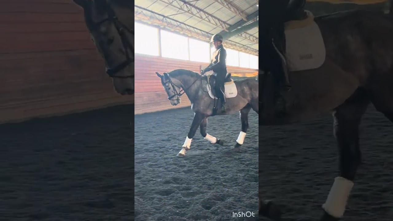 Marlstone long video 